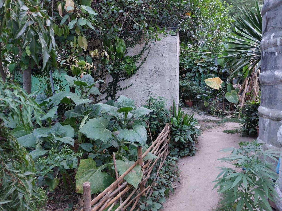 Thong Family Homestay Chiangdao Chiang Dao Exterior foto
